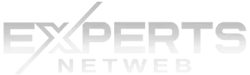 logo experts netweb